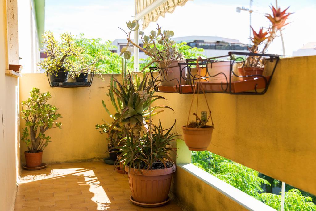 Sa Mama E Su Sole Lägenhet Alghero Exteriör bild